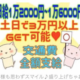携帯キャンペーンガール