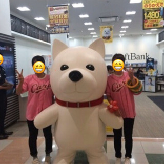 携帯キャンペーンガールの画像