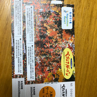 なばなの里ベゴニアガーデン入館券