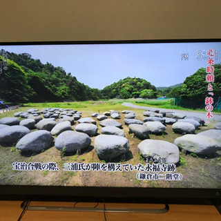 50型テレビ　　東芝REGZA 50M500X 2016年製　保証期間内の保証書付き
