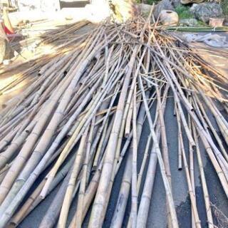 無料！国産 竹 竹垣やフェンス DIYに
