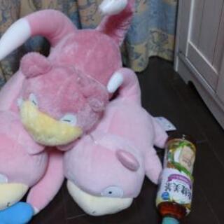 ヤドンぬいぐるみセット 引き取り希望