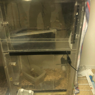アクリルケージ  爬虫類用