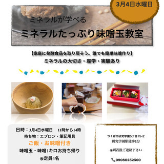 ミネラルたっぷり味噌玉造り+味噌1キロ付き