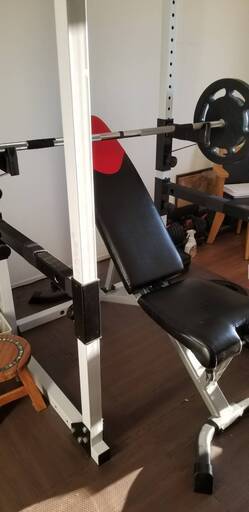 超お得！　パワーラックPROワイルドフィットナロー＋IVANKOIB-18（ラバープレート 100kg付き）+Bowflex 3.1 