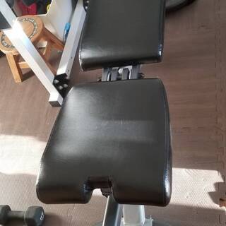 超お得！　パワーラックPROワイルドフィットナロー＋IVANKOIB-18（ラバープレート 100kg付き）+Bowflex 3.1 ベンチ　中古品　現地引取のみ