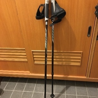 ノルディックウォーキングポール