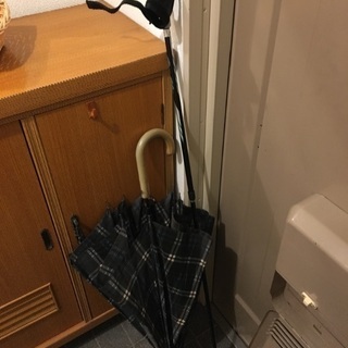 ノルディックウォーキングポールの画像