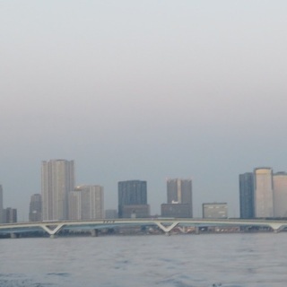 東京湾岸地区に関する情報交換(豊洲・有明・晴海・勝どき・月島・東...