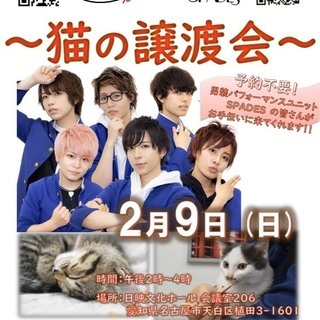 2月9日（日）ねこの譲渡会＠名古屋市天白区植田