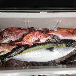 釣り堀メンバー募集中