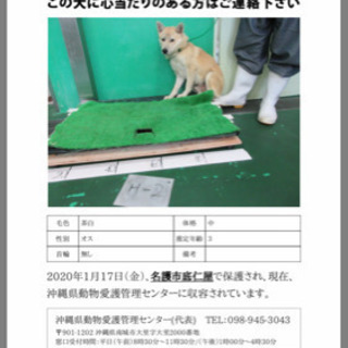 命期限が明日までの子もいるそうです
