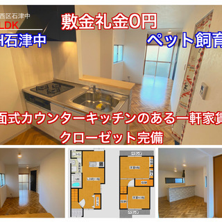 【室内完成】堺市西区石津中【敷金礼金0円】【室内新築そっくり】【...