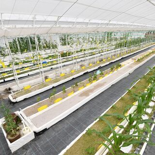 ＜ミドル・シニア応援＞障がいのある方が働く農園のサポート業務！人を想い合った幸せを感じられる場所づくりを目指しています。の画像