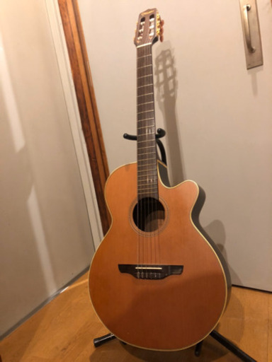 Takamine NPT-110N  タカミネ　エレガット　セミハードケース付