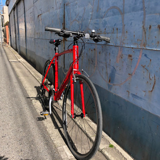 貴重 ビッグサイズ 2019年モデル GIANT ESCAPE RX3 Lサイズ 直接