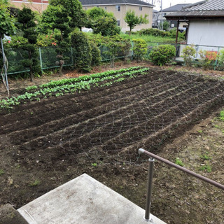 家庭菜園しませんか？