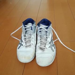 Asics バッシュ 25cmの画像