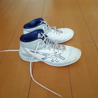 Asics バッシュ 25cm