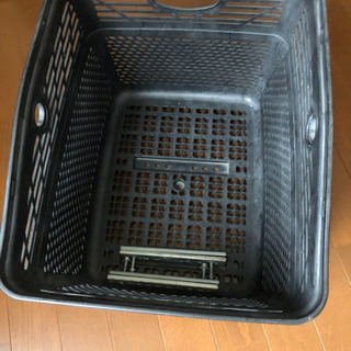アンジェリーノ  プティットの画像