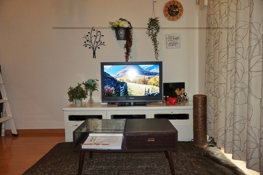 【インテリア全部セット】合計17万円分を5万円で販売：ソファ / テレビ / テレビ台 / 観葉植物 / クッションや雑貨 / ラグ 