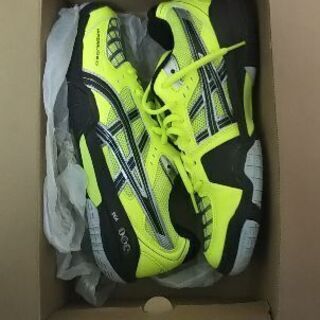 バトミントンシューズ 25.0cm 無料！