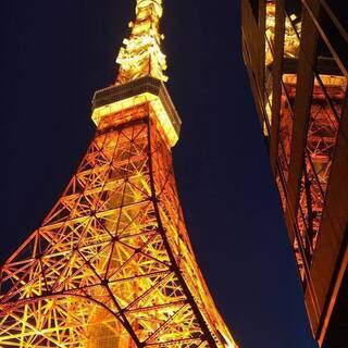東京タワーの近くでオープン坐禅会　2月22日　忍者の日