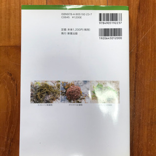 潮間帯と海藻   2 八重山の海岸を歩く」 定価: ￥ 1,320の画像