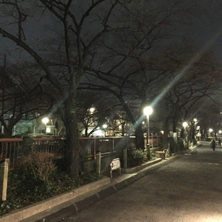 【ゆる募】目黒川沿いを走りませんか？