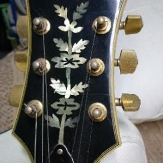 入荷！Epiphone by Gibson の画像
