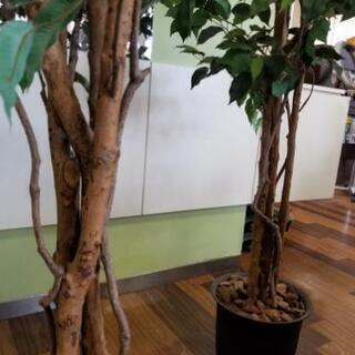 観葉植物イミテーション