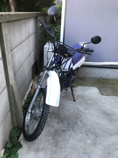 DT50 YAMAHA 最終型 書類あり GT50ヘッドライト