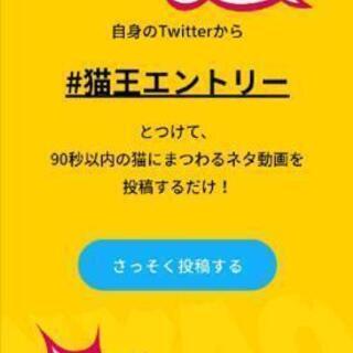 【猫王お笑いユニット募集中】急募 - 新宿区