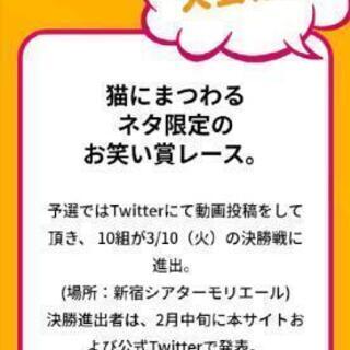 【猫王お笑いユニット募集中】急募 - その他