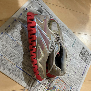 リーボック　ZIGTECH ジグテック 26cmの画像