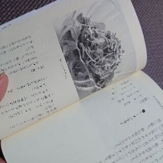 面白南極料理人*笑う食卓の画像