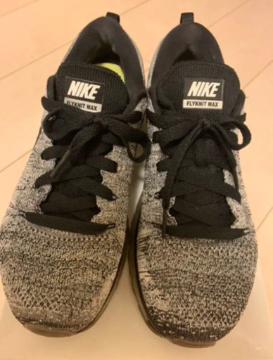 NIKE レディーススニーカー