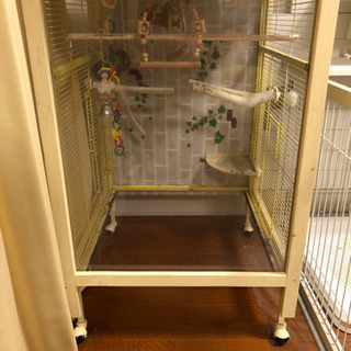 鳥カゴ　インコゲージ　大型
