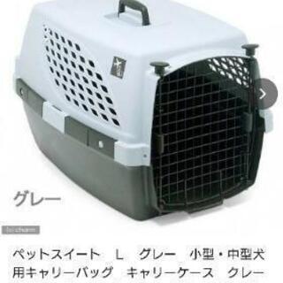ペットキャリー🐈‍⬛