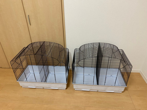 取引先決定　鳥かご　二個