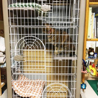 ペットケージ売ります