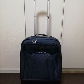 ジャンク品:GRIFFIN LANDのキャリー