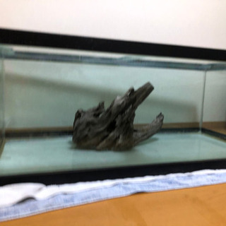120×60×45ガラス水槽セット