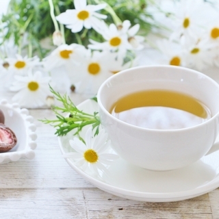 ＜春到来。恋多き女性のための婚活ぶっちゃけお茶会＞