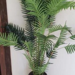 ニトリの観葉植物(造花)