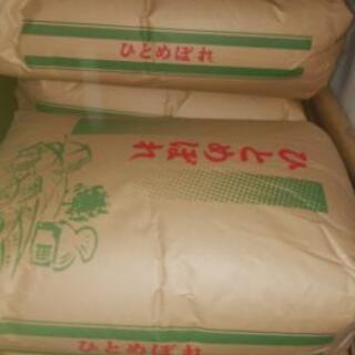令和元年ひとめぼれ30キロ　玄米