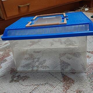 プラスチック昆虫育成ケース