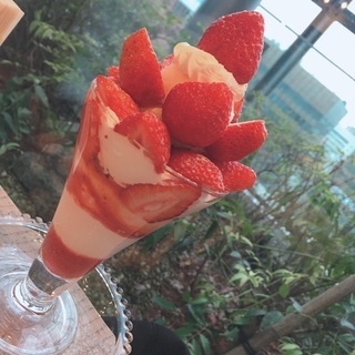バンドメンバー募集 （新規）
