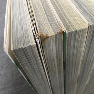 ライジングサン 1〜7巻の画像