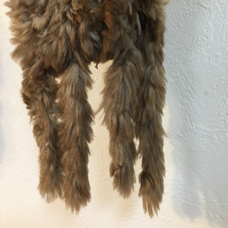 カナダ　ビーバーの毛を編んでるマフラーの画像